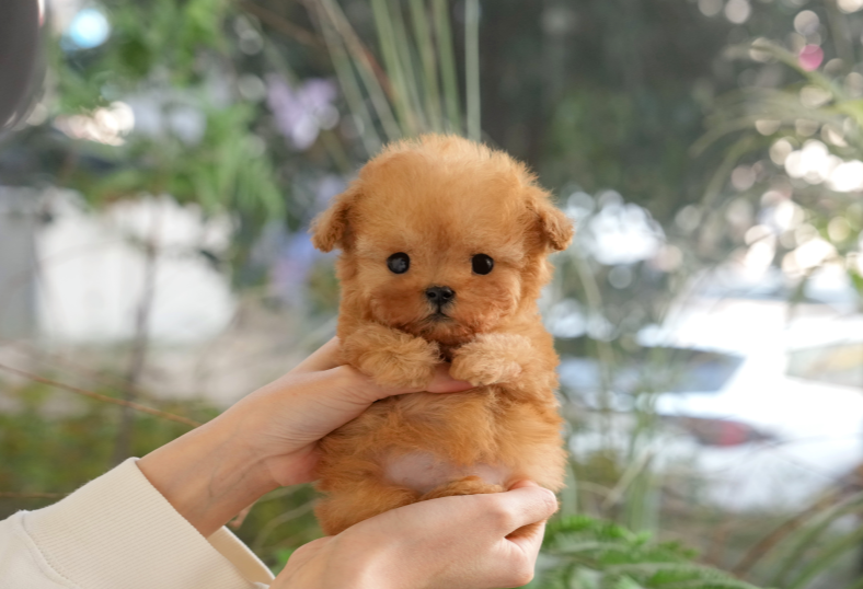 KakaoTalk_20260901_152408254.png
